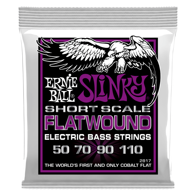 ERNIE BALL - 