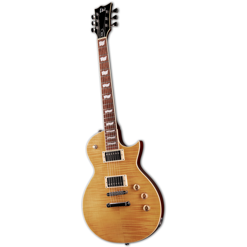 ESP LTD - 