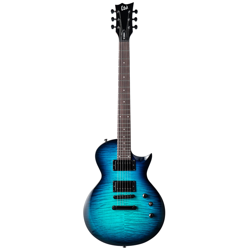 ESP LTD - 