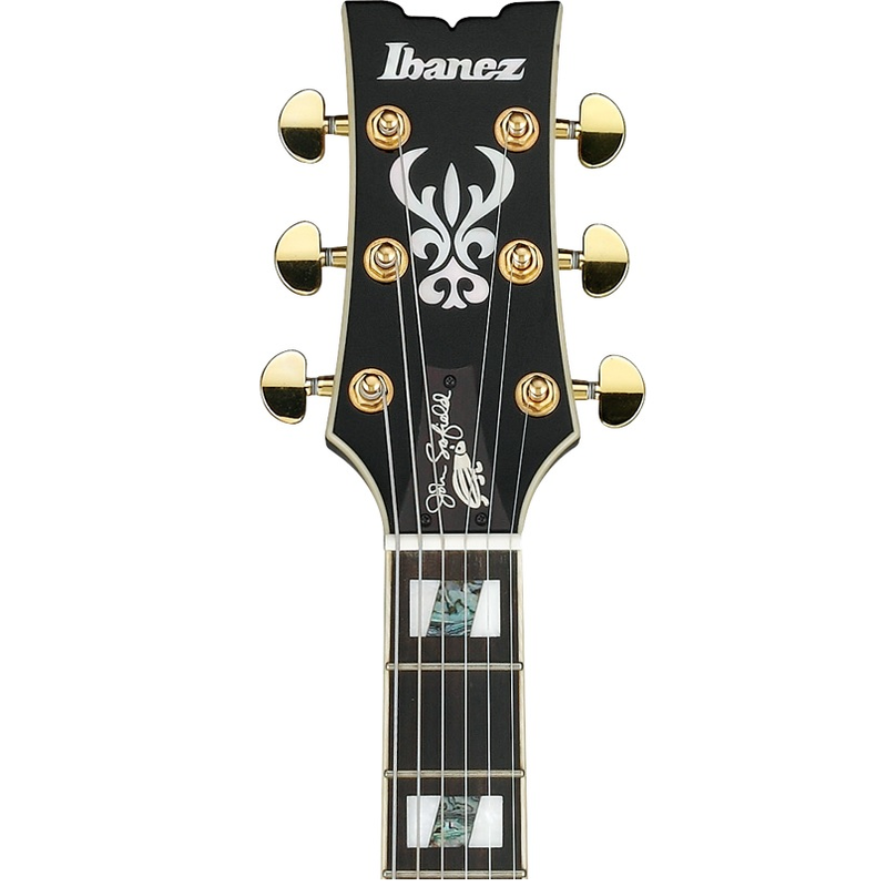 IBANEZ - Case incluso