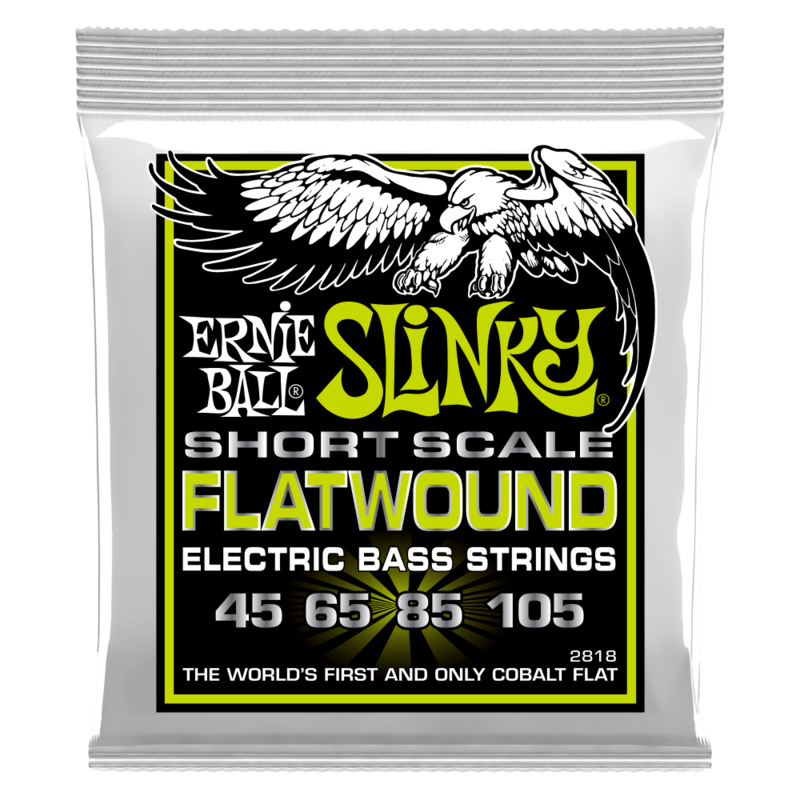 ERNIE BALL - 