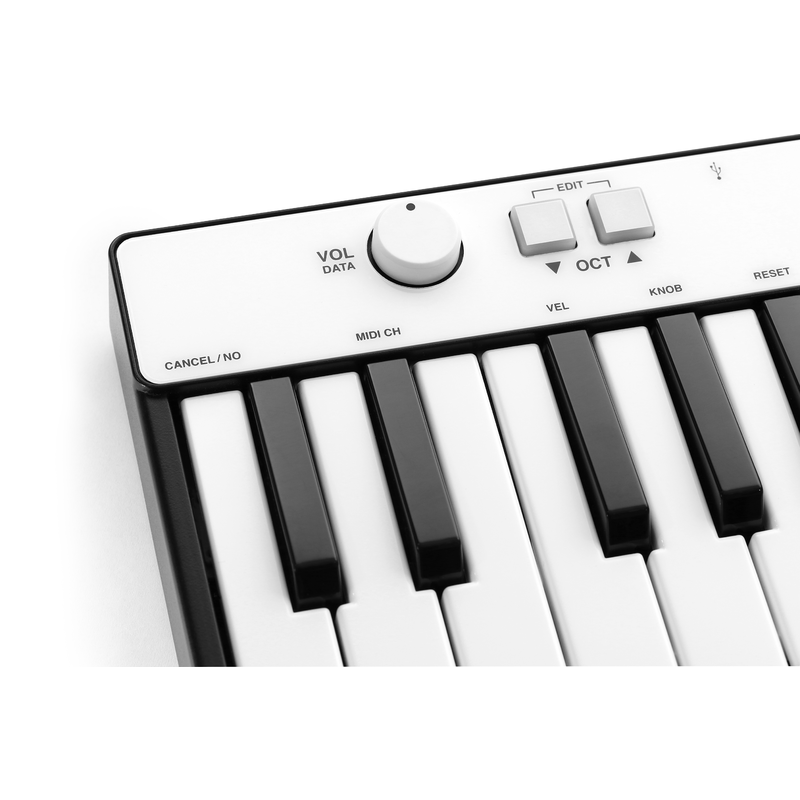 IK MULTIMEDIA - Mini Master Keyboard a 25 tasti per sistemi Android, iOS, Mac, Pc