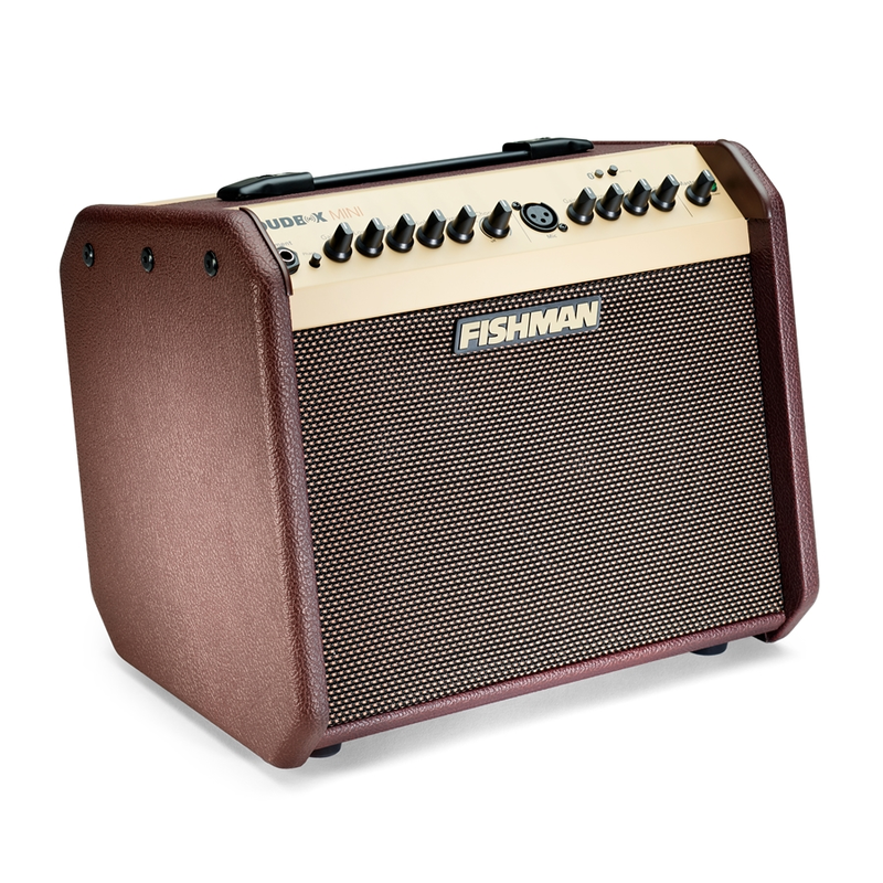 FISHMAN - AMPLIFICATORE PER CHITARRA ACUSTICA E VOCE BLUETOOTH 60W